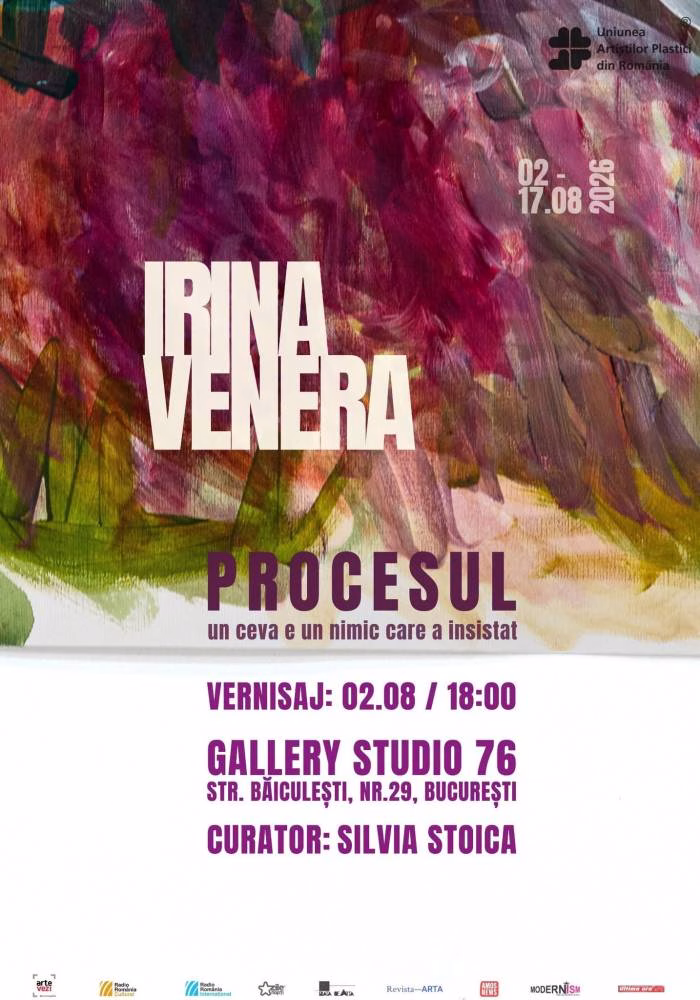 O expoziție-instalație la Gallery Studio 76, în zona Băiculești - Cultura
