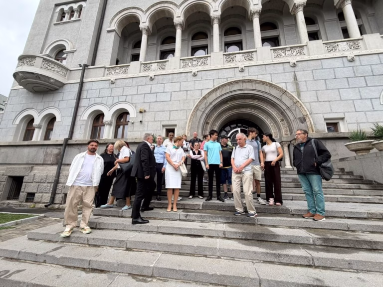 Pajura, gardurile tăiate și scuzele lui Tuță: „Am greșit”