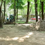 Pajura scapă de iarbă uscată: 8.000 mp de verdeață noi în Sector 1