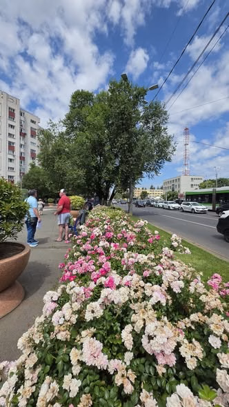 Șoseaua Olteniței, strada care nu doarme niciodată