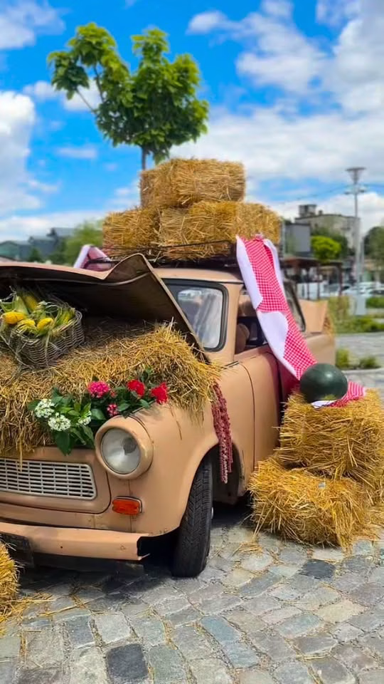 Weekend cu pepeni sculptați și cinema în aer liber, în Matache - Bucuresti