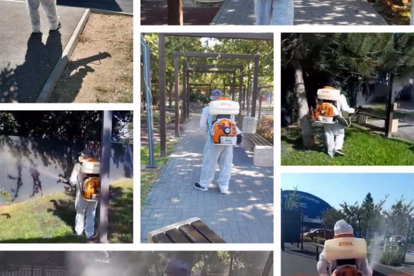 Atenție dacă mergeți azi în parcurile din Voluntari. Se fac tratamente împotriva căpușelor și țânțarilor