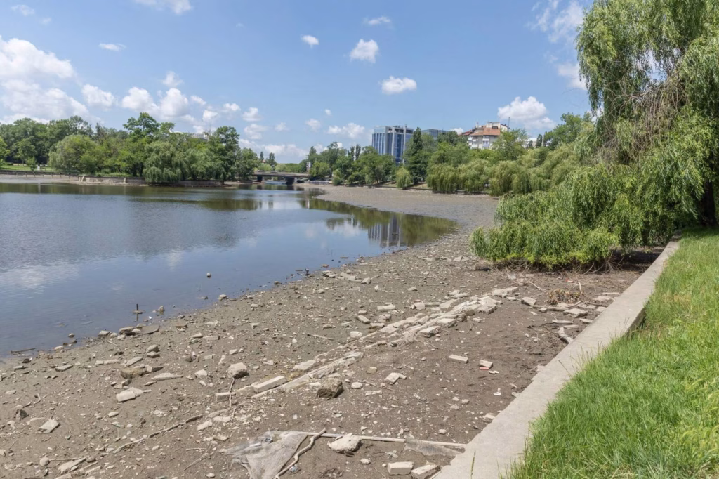 Herăstrău în șantier: ce vor bucureștenii de la parc - Bucuresti