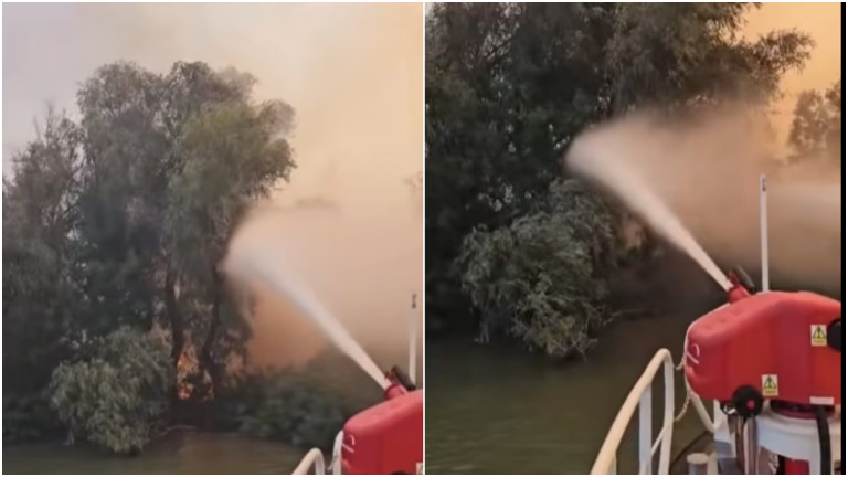Incendiu uriaș în Delta Dunării: 700 de hectare arse