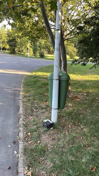 Șobolanii din Parcul Tineretului au primit musafiri nepoftiți - Bucuresti