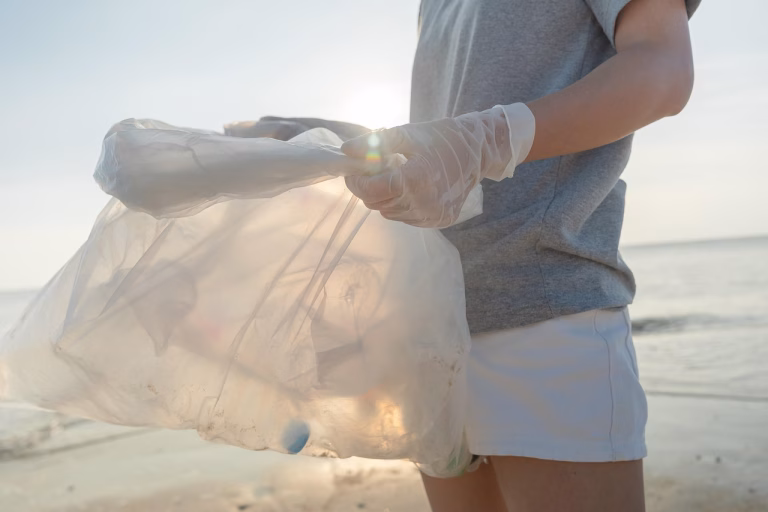 Trandafiri de plastic la Primăria Sectorului 2, cu iz de doliu
