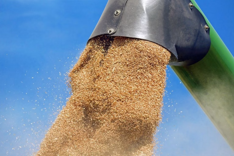 Ucraina exportă doar 30% din cerealele promise, din cauza blocajului din porturi