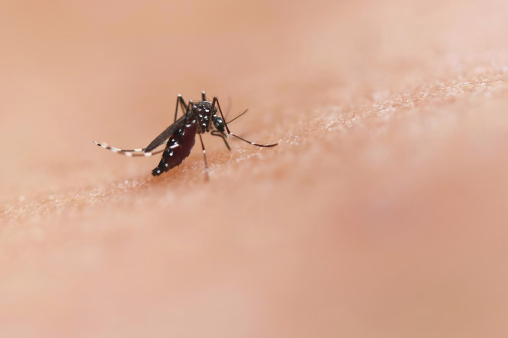 Virusul West Nile: Capitala și Ilfovul, cele mai afectate zone - Bucuresti