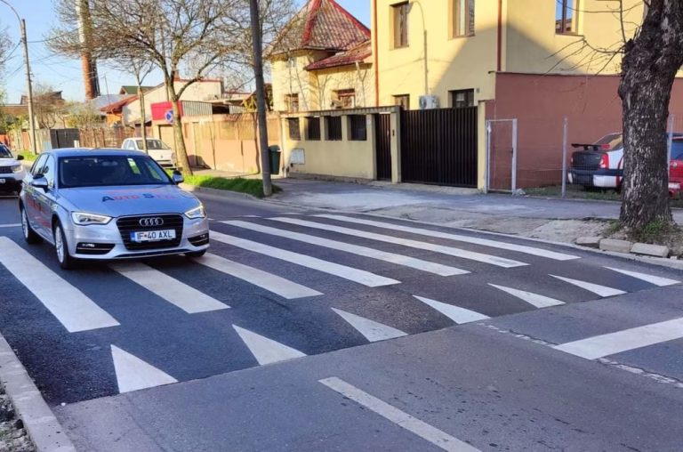 Petrecerea de pietoni: cei care vor să ne salveze de pe zebră