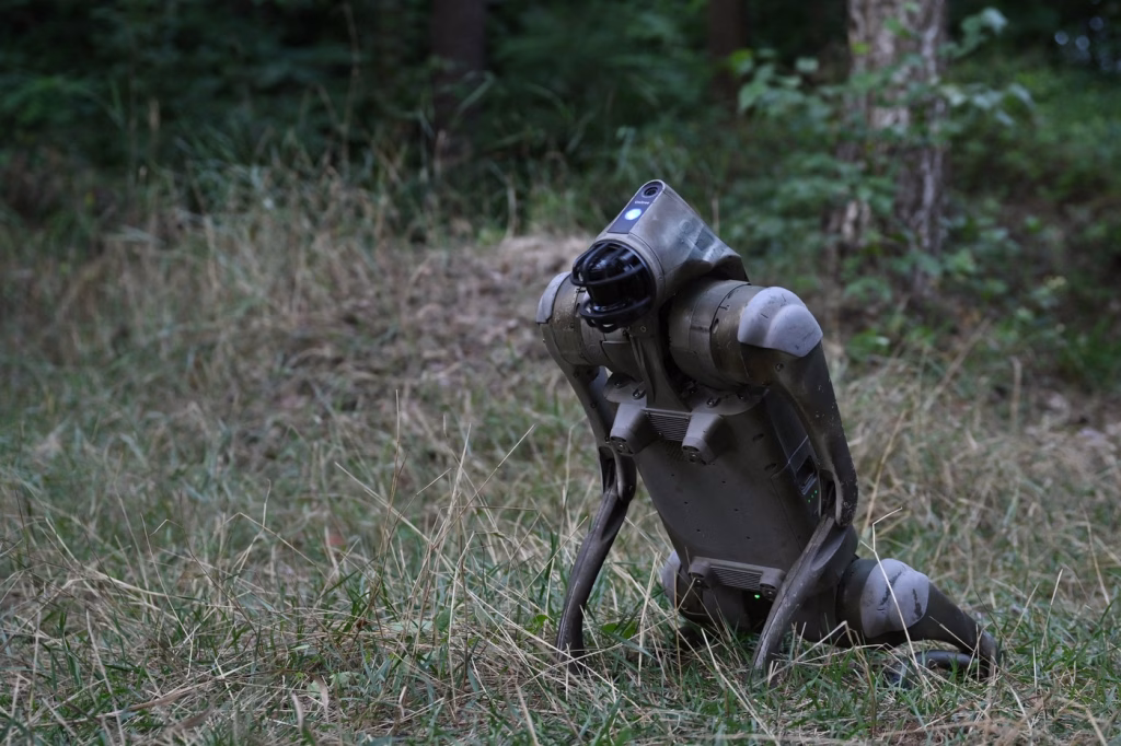 România are acum robot asigurat ca un VIP, nu glumă - Politica