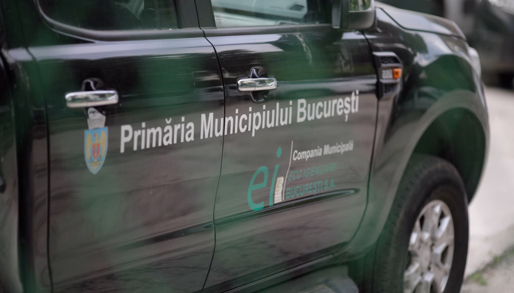 Sprijin pentru bătrâni la curățenie, în Sectorul 6 - Bucuresti