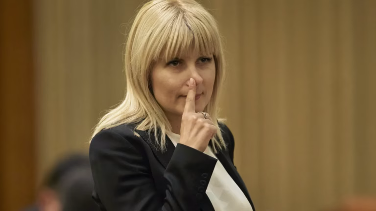 Udrea vede o Cristela Georgescu posibilă la Cotroceni