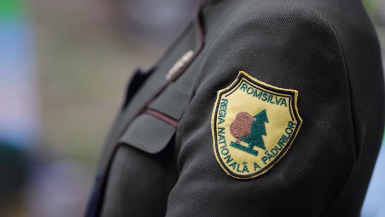 Vânătoare la Romsilva, în timpul programului de lucru - Politica
